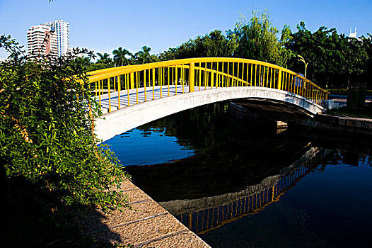 日式庭园,桥,水