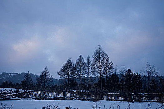 雪乡,雪村,吉林,临江市,村庄,山村,乡村,冬季,雪野,寒冷,农家,接待,旅游,松岭,东北,风情