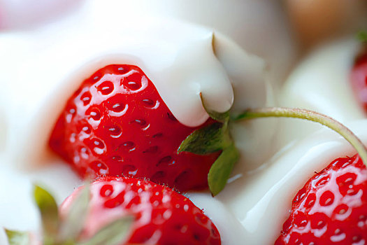 特写牛奶淋过新鲜的草莓