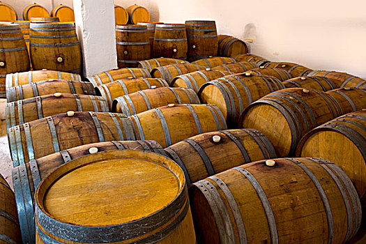 葡萄酒桶,橡木,地中海,葡萄酒厂