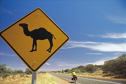路标,乡间小路,塔斯马尼亚,澳大利亚,交通标志