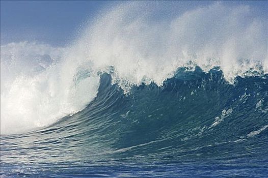 波浪,北岸,瓦胡岛,夏威夷