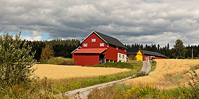 红色,黄色,房子,土路,高地,挪威
