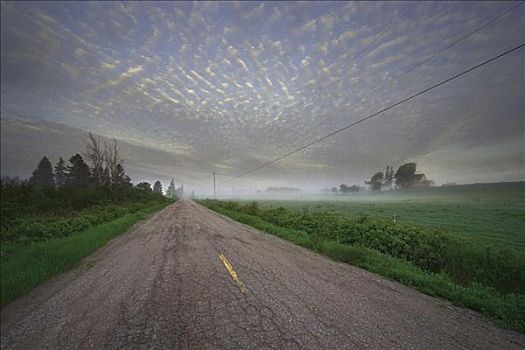 乡村道路,雾,新布兰斯维克,加拿大