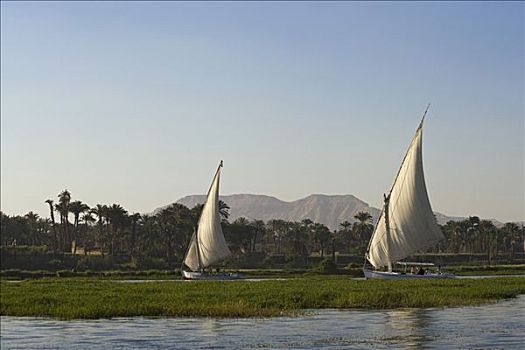 三桅小帆船,航行,尼罗河,路克索神庙,埃及