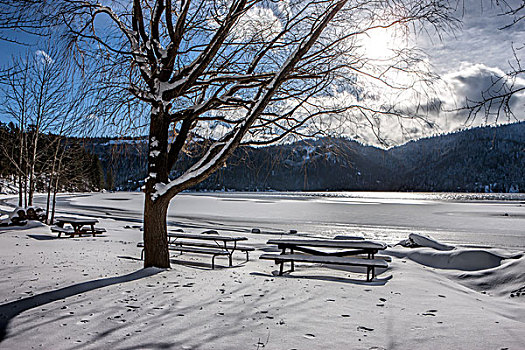 荒凉,公园,湖,冬天,野餐桌,遮盖,雪,北方,爱达荷