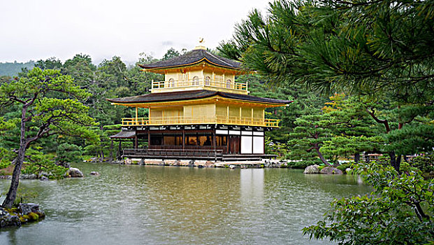 金阁寺,京都,寺庙,日本