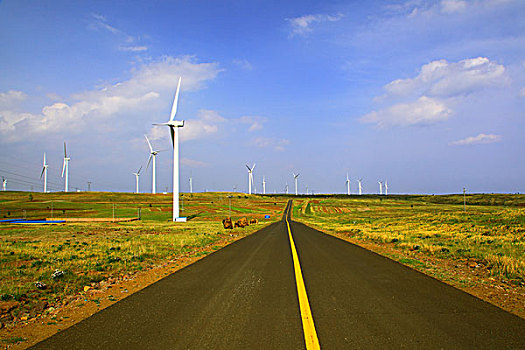 草原柏油路风车