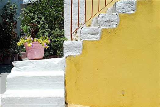 楼梯,花,容器,凯法利尼亚岛,爱奥尼亚群岛,希腊