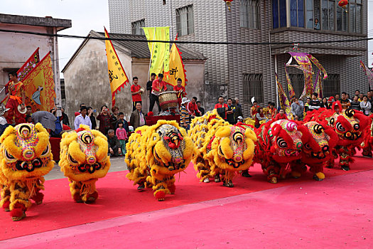 调顺岛年例