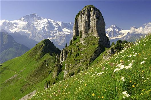 山,正面,少女峰,伯恩高地,瑞士