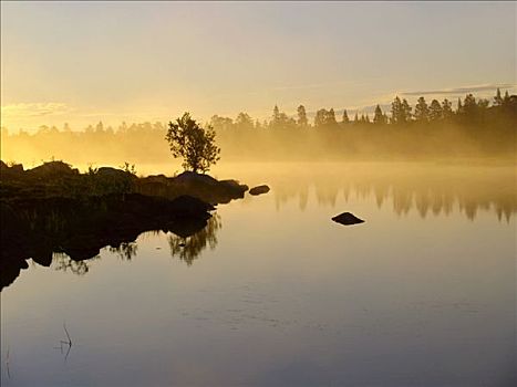 早晨,薄雾,上方,河,国家公园,挪威,斯堪的纳维亚,北欧