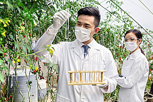 正在大棚里进行科学研究的青年男女