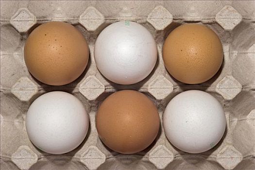 鸡,蛋,包装,三个,白色,褐色