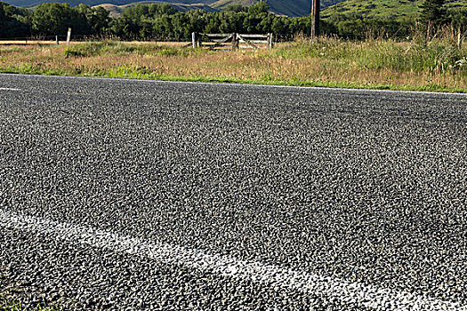 沥青,道路,靠近,草场,夏天,新西兰