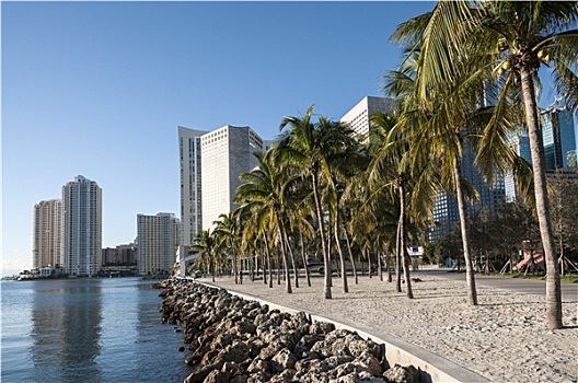 水岸,散步场所,迈阿密,佛罗里达,美国