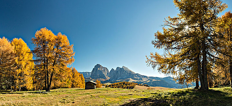 风景,上方,秋天,白云岩,南蒂罗尔,意大利,欧洲