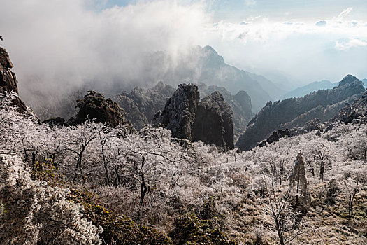 黄山雾凇