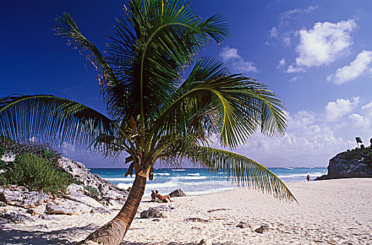 加勒比海,海滩,尤卡坦半岛,墨西哥,北美