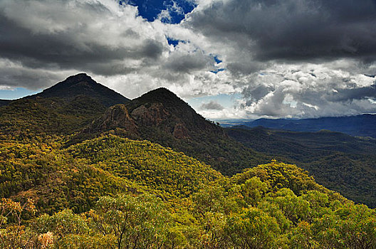 荒野,国家公园,新南威尔士,澳大利亚