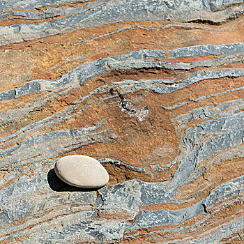 小,鹅卵石,砂岩,石头,野外,小湾,格罗莫讷国家公园,纽芬兰,拉布拉多犬,加拿大