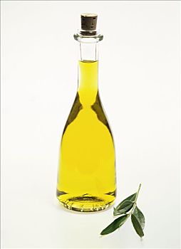 橄榄油,瓶子,软木塞,橄榄枝