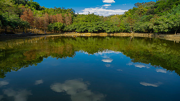 莲花山公园的湖水