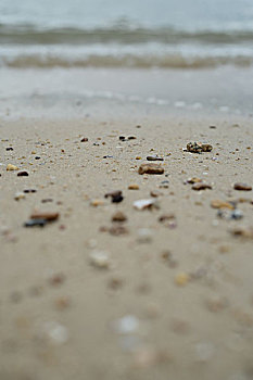 海浪中的小石子
