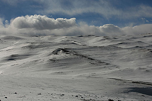 可可西里的雪山