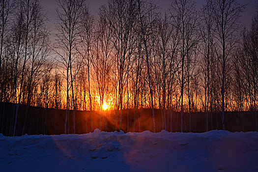 黑龙江漠河北极村夕阳