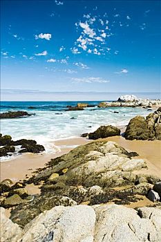 石头,海滩,智利