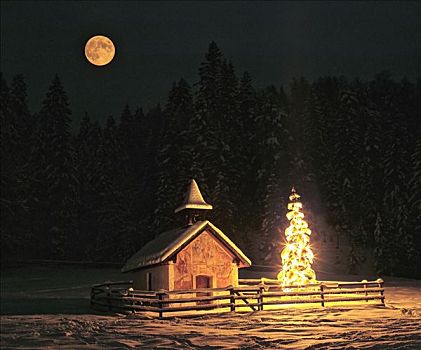 小教堂,圣诞树,满月,靠近,上巴伐利亚,巴伐利亚,德国,欧洲