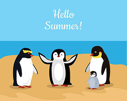 问好,夏天,有趣,帝企鹅,家族,海边,黑色,企鹅,白色,腹部,动物,可爱,矢量,野生动物,问候