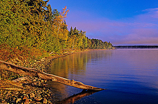 湖,日出,国家公园,萨斯喀彻温,加拿大
