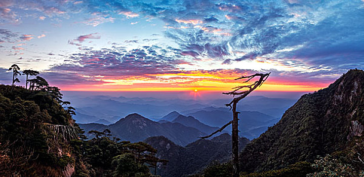 风景