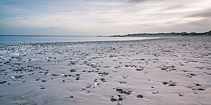 石头,平和,灰色,海滩,丹麦