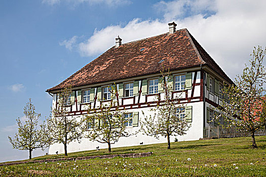 花,果树,正面,半木结构房屋,巴登符腾堡,德国,欧洲