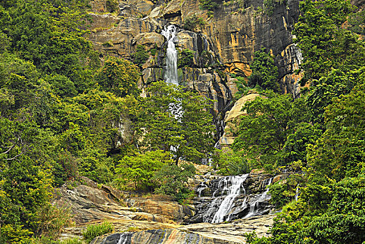 瀑布,中央省,斯里兰卡,亚洲