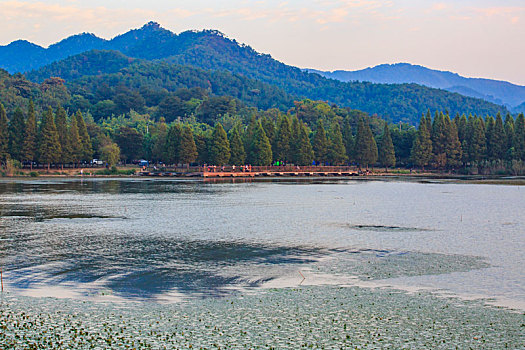 水面,水畔,水岸,阳光