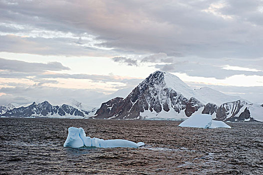 冰山,海岸,南极