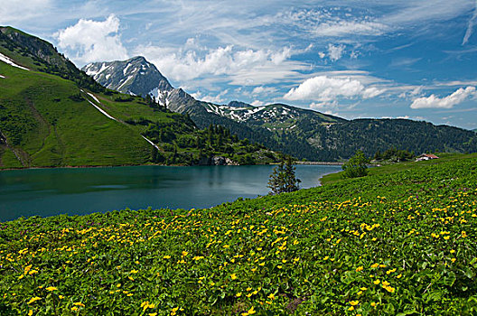 湖,自然,自然保护区,山谷,提洛尔,奥地利,欧洲