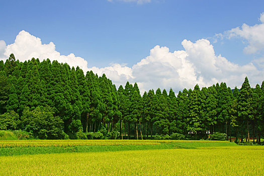 夏天,积雨云,地点