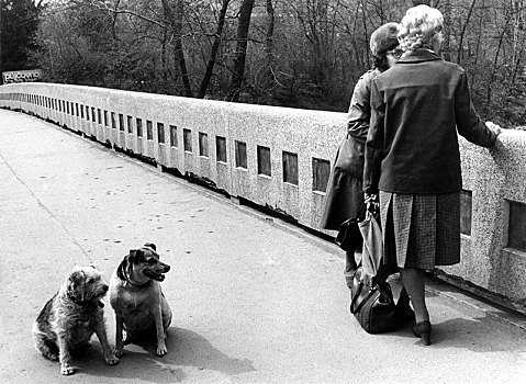 狗,等待,情人,70年代,精准,地点,未知,捷克共和国,欧洲