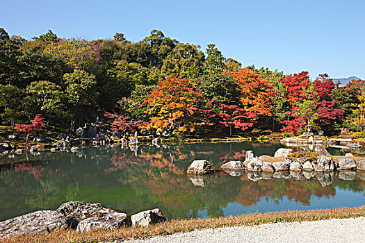 水塘,日式庭园,庙宇,京都,日本