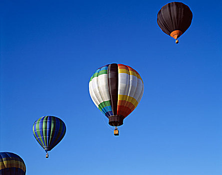 热气球,飞行,加蒂诺,节日,魁北克,加拿大