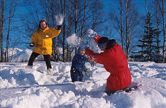 家庭,投掷,雪球,俄罗斯人,公园,冬天,景色