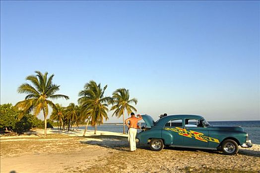 老爷车,停放,棕榈树,海滩,古巴,加勒比海,美洲