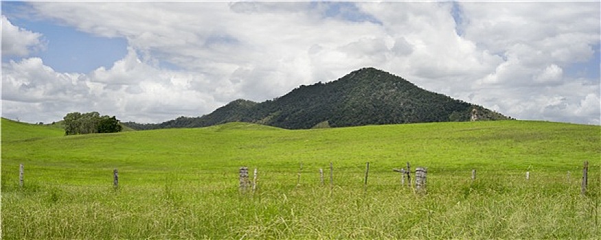 乡村,澳大利亚,全景,乡野,场景