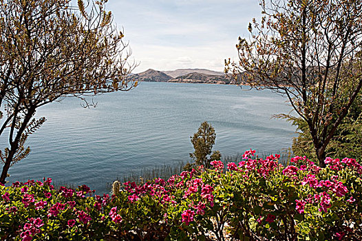 秘鲁,提提卡卡湖,岛屿,住宿