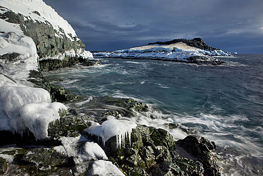 冰冻,石头,海岸,南极半岛,南极